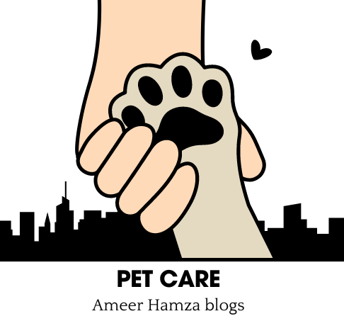 Ameer Hamza blogs